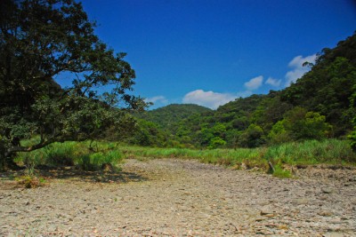 哈盆自然保護趨勢台灣地區少數保有低海拔原始闊葉林相的區域,此處蘊藏豐富重要的原始闊葉林動、植物資源