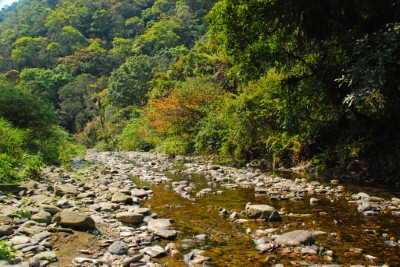 哈盆有台灣亞馬遜河之稱,兩邊的森林非常茂密,原始,因雨季未到,只有快乾枯的部分溪水