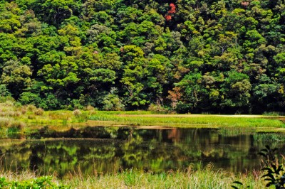 南澳闊葉樹林自然保留區主要保護對象即為湖泊、沼澤及森林生態系,和生育其間的稀有動植物