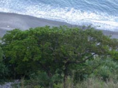 Guanyin Coast Major Wildlife Habitat