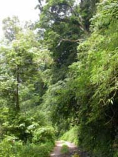 Ruei-yan River Major Wildlife Habitat