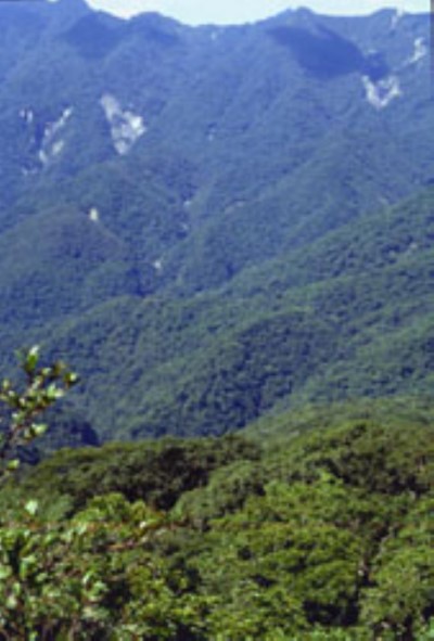 Shuang-guei Lake Major Wildlife Habitat