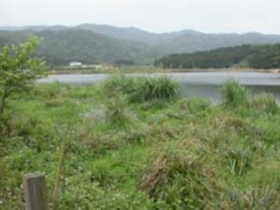 Yilan County Shuang-lian-Pi Major Wildlife Habitat