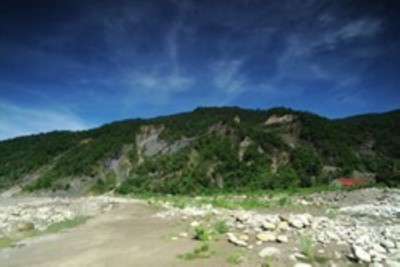 Jia-xian Sih-de Fossil Forest Reserve