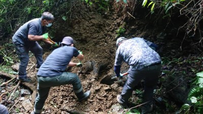 工作人員於距離武界產業道路不到100公尺處發現被掩埋的東卯山黑熊遺體。