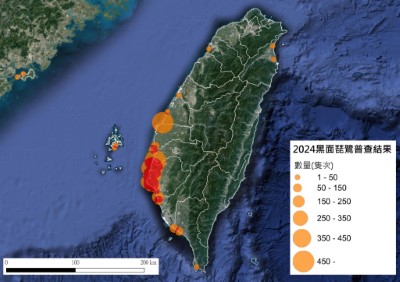 2024臺灣同步普查分布圖