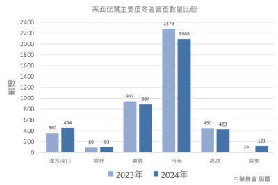 黑面琵鷺在臺灣主要度冬區普查數量比較