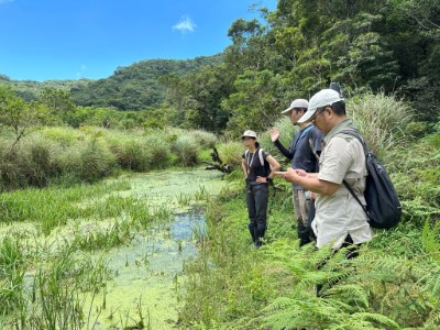 113年7月宜蘭分署會同林業試驗所至現場評估保種作業