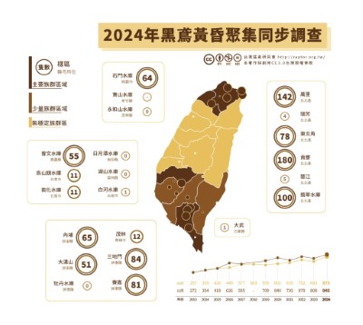 黑鳶同步調查數量